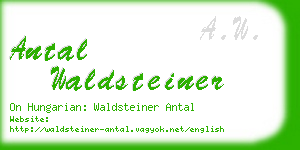 antal waldsteiner business card